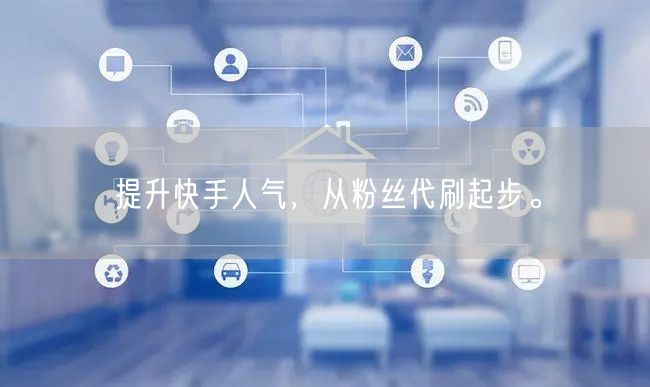 提升快手人气,从粉丝代刷起步。