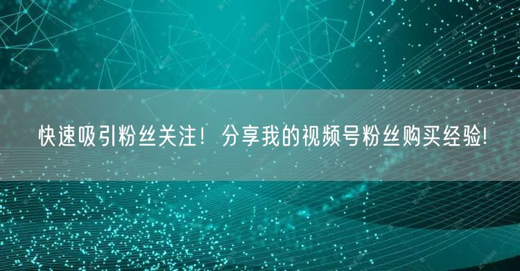快速吸引粉丝关注！分享我的视频号粉丝购买经验!