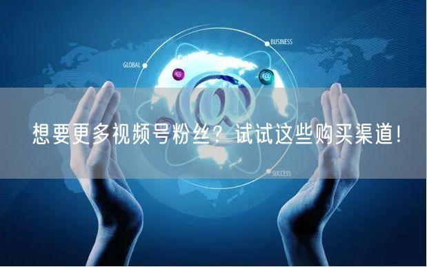 想要更多视频号粉丝?试试这些购买渠道!