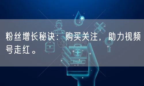 粉丝增长秘诀:购买关注,助力视频号走红。