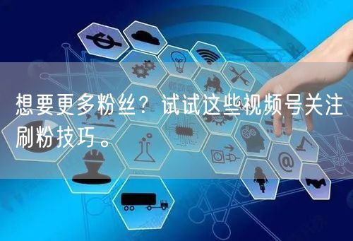想要更多粉丝?试试这些视频号关注刷粉技巧。