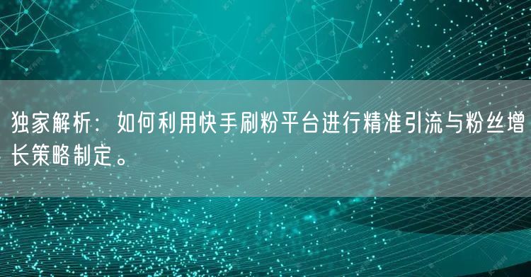 独家解析:如何利用快手刷粉平台进行精准引流与粉丝增长策略制定。