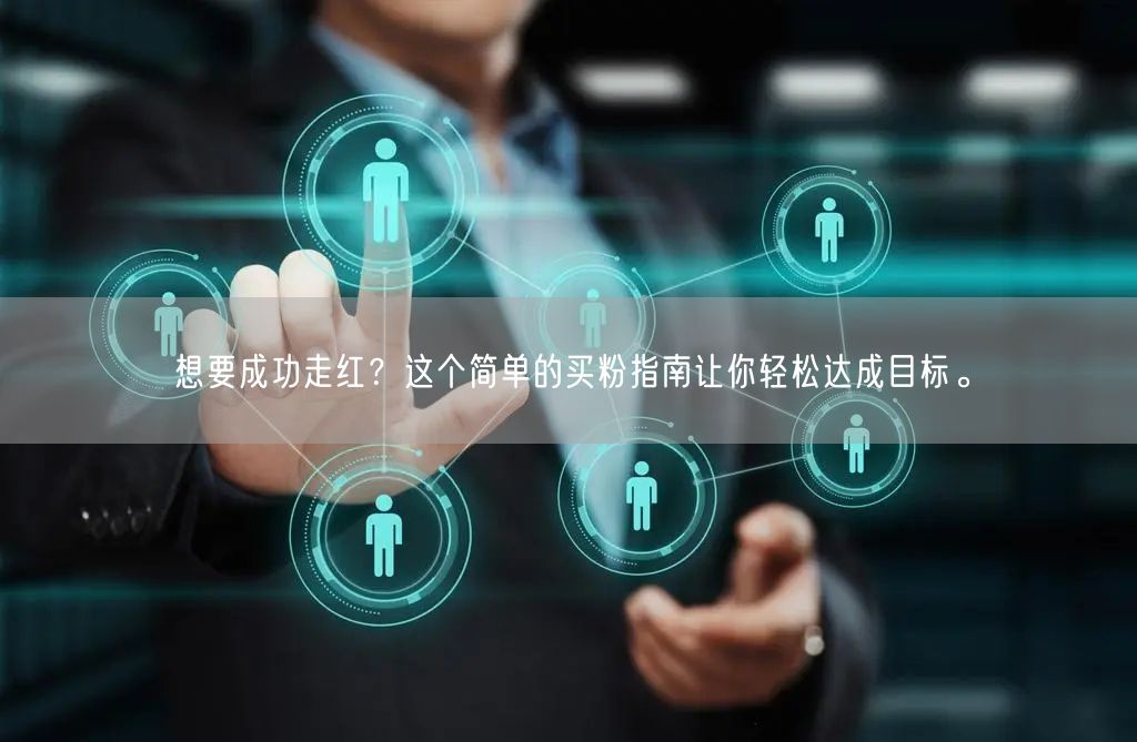 想要成功走红?这个简单的买粉指南让你轻松达成目标。