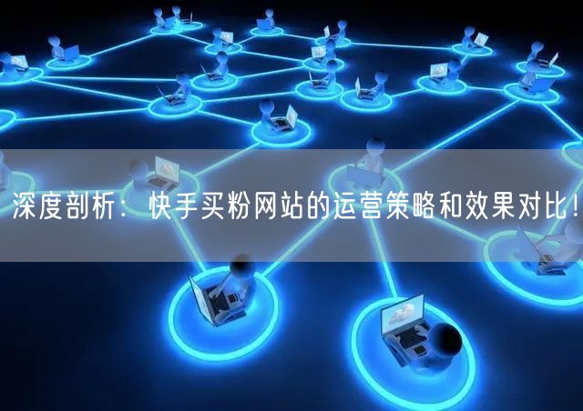 深度剖析:快手买粉网站的运营策略和效果对比!