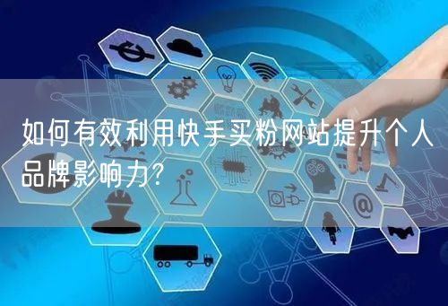 如何有效利用快手买粉网站提升个人品牌影响力?