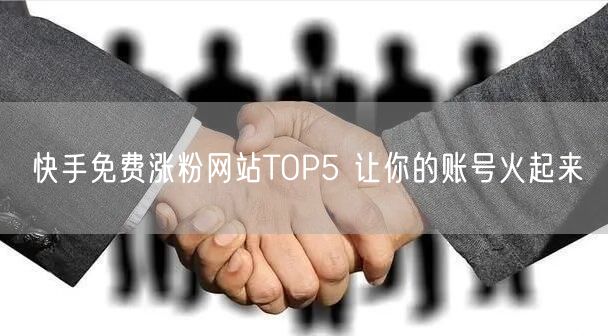 快手免费涨粉网站TOP5 让你的账号火起来