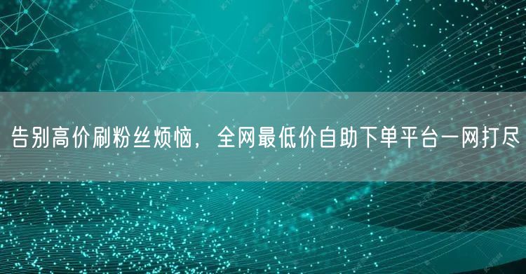 告别高价刷粉丝烦恼,全网最低价自助下单平台一网打尽