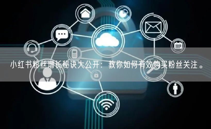 小红书粉丝增长秘诀大公开:教你如何有效购买粉丝关注。