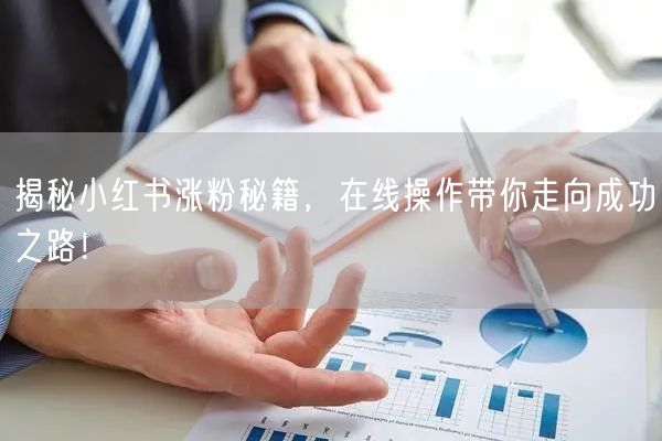 揭秘小红书涨粉秘籍,在线操作带你走向成功之路!