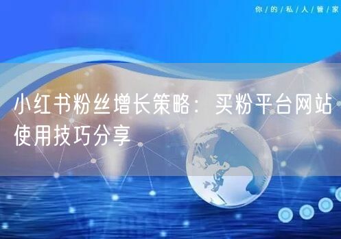 小红书粉丝增长策略:买粉平台网站使用技巧分享