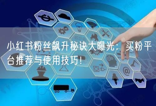 小红书粉丝飙升秘诀大曝光:买粉平台推荐与使用技巧!