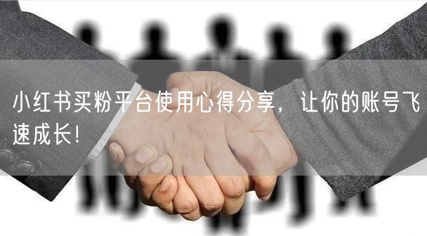 小红书买粉平台使用心得分享,让你的账号飞速成长!
