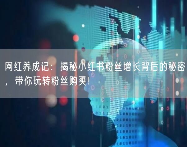 网红养成记:揭秘小红书粉丝增长背后的秘密,带你玩转粉丝购买!