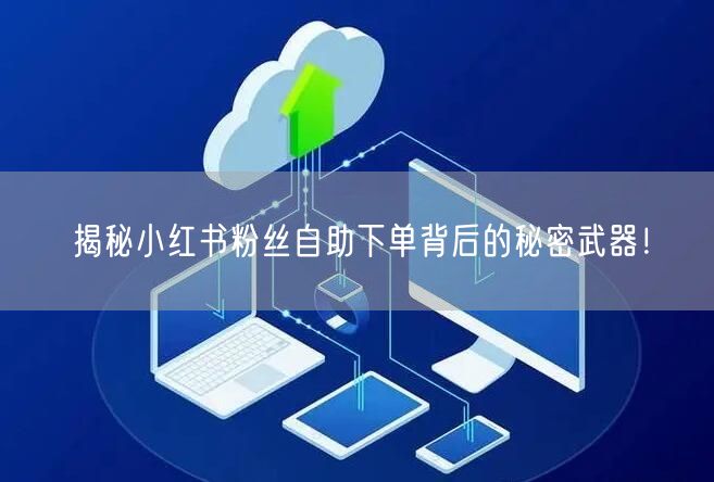 揭秘小红书粉丝自助下单背后的秘密武器!