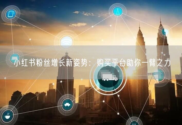 小红书粉丝增长新姿势:购买平台助你一臂之力