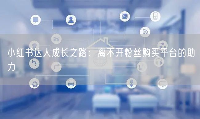 小红书达人成长之路:离不开粉丝购买平台的助力