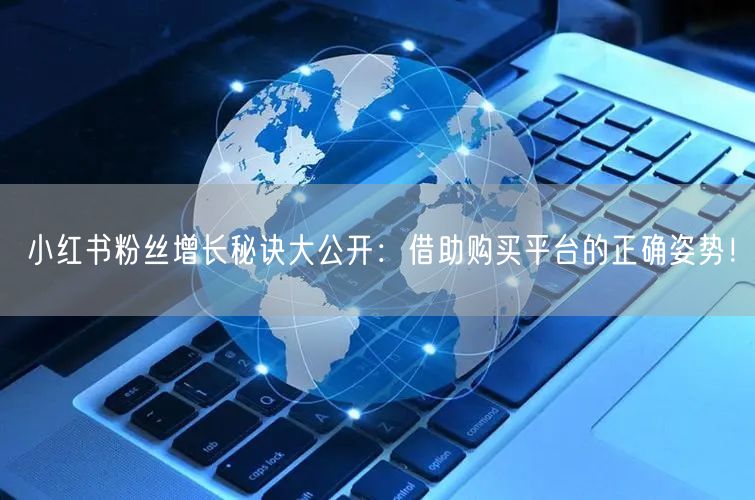 小红书粉丝增长秘诀大公开：借助购买平台的正确姿势！