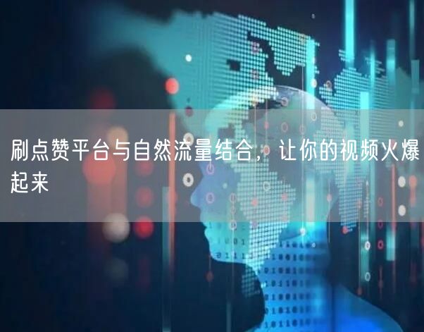 刷点赞平台与自然流量结合，让你的视频火爆起来